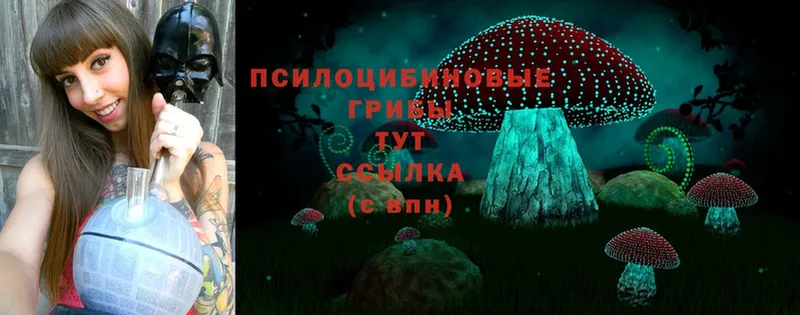 Псилоцибиновые грибы Cubensis  KRAKEN как зайти  Богородск 